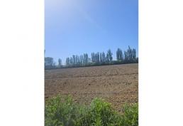 Nuevas parcelas de agrado 5000m2  sector las motas Longavi