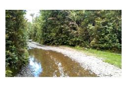 [Oportunidad] Terreno 25h en sector Yerbaloza, Chiloé