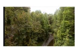 [Oportunidad] Terreno 25h en sector Yerbaloza, Chiloé