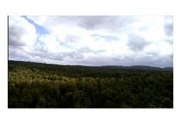 [Oportunidad] Terreno 25h en sector Yerbaloza, Chiloé