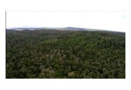 [Oportunidad] Terreno 25h en sector Yerbaloza, Chiloé