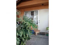 Casa En Amplia Avenida, Villa Hernán Díaz Arrieta / Maipú