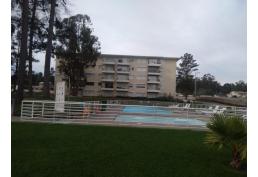 ARRIENDO AÑO CORRIDO / EL TABO