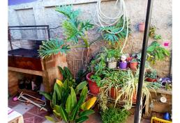 CASA INDEPENDIENTE DE UN PISO BELLOTO CENTRO