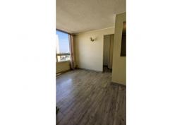 Depto Mariposa 2 Dormitorios Barrio brasil