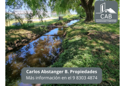 Hermosa Parcela de 10.000m2 en Bulnes Sector Los Tilos