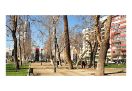 Arriendo Excelente Oficina de 260 m2 Clásica Frente al Parque Forestal