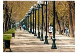 Arriendo Excelente Oficina de 260 m2 Clásica Frente al Parque Forestal