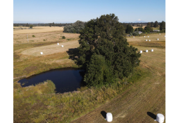 Descubre Brisas de Baquedano