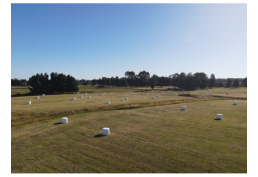 Descubre Brisas de Baquedano