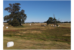 Descubre Brisas de Baquedano