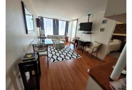 DEPARTAMENTO A PASOS DE METRO SANTA LUCIA