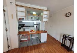 DEPARTAMENTO A PASOS DE METRO SANTA LUCIA