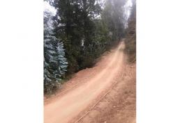 DEPARTAMENTO SECTOR CURAUMA VALPARAISO