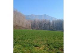 HERMOSA PARCELA DE AGRADO EN IDAHUE VI REGION