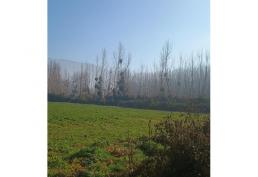 HERMOSA PARCELA DE AGRADO EN IDAHUE VI REGION