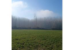 HERMOSA PARCELA DE AGRADO EN IDAHUE VI REGION