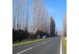 HERMOSA PARCELA DE AGRADO EN IDAHUE VI REGION