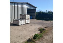 PARCELA PLANTADA CON NARANJOS CAMINO A ZÚÑIGA