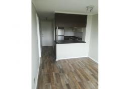 Vendo amplio y bonito departamento en Santiago centro.