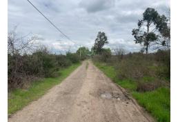 Venta de Terreno camino a Bulnes