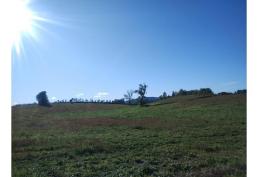 Campo en Venta – 27 Hectáreas con Vista a Volcanes y Subdivisión Aprobada