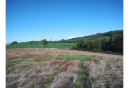 Campo en Venta – 27 Hectáreas con Vista a Volcanes y Subdivisión Aprobada