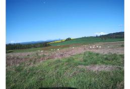 Campo en Venta – 27 Hectáreas con Vista a Volcanes y Subdivisión Aprobada