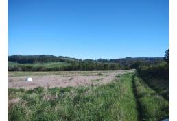 Campo en Venta – 27 Hectáreas con Vista a Volcanes y Subdivisión Aprobada