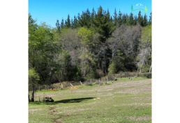 Hermosa parcela en Zemita, Ñiquén, Región de Ñuble