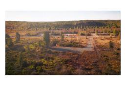 Parcela de 5000 m2 con Luz + Agua en Parque Austral, Calbuco