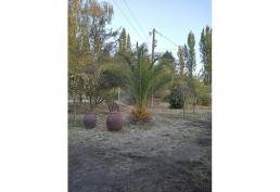 Vendo Parcela en Bulnes