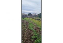 Espectacular Casa-Sitio Quillon Region Ñuble