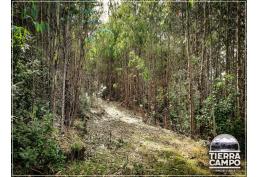Vendo hermosa parcela de puerto varas a la costa