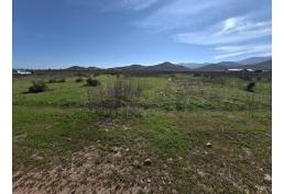 Terreno en venta 5.000 m²