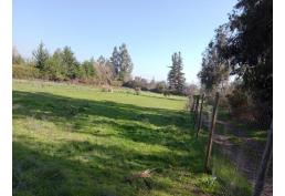 Vendo hermosa parcela de agrado en Pirque