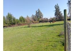 Vendo hermosa parcela de agrado en Pirque