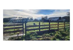 Parcela 5.000 mtr2 con cabaña