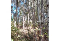 Oportunidad única para desarrollo turístico en Ñuble