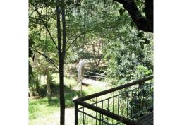 VENDEMOS PARCELA PERIQUILLO, HUALQUI,CONCEPCION.