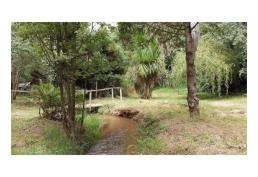 VENDEMOS PARCELA PERIQUILLO, HUALQUI,CONCEPCION.