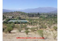 Vende Terreno 5000m2 Huertos de Rangue, Paine