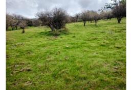 Vende Terreno 5000m2 Huertos de Rangue, Paine