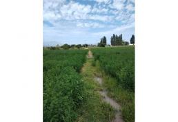 Vende Terreno en Nuevo Horizonte, Paine