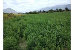 Vende Terreno en Nuevo Horizonte, Paine