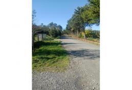 Se vende Parcela en Frutillar de media hectárea (5.000 m2)