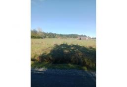 Se vende Parcela en Frutillar de media hectárea (5.000 m2)