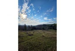 3 HECTÁREAS Llico Alto, Fresia. Región de Los Lagos.