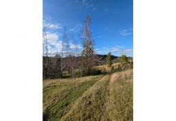 3 HECTÁREAS Llico Alto, Fresia. Región de Los Lagos.