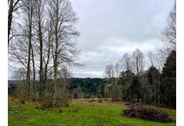 3 HECTÁREAS Llico Alto, Fresia. Región de Los Lagos.